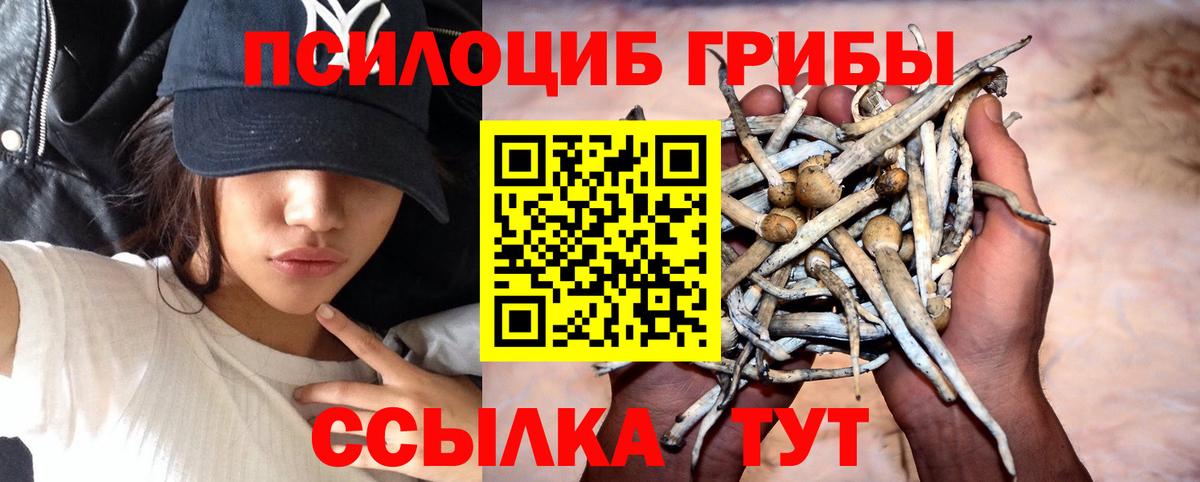 Галлюциногенные грибы прущие грибы  Псилоцибиновые грибы мицелий  магазин    Красноперекопск  Вход с VPN 
